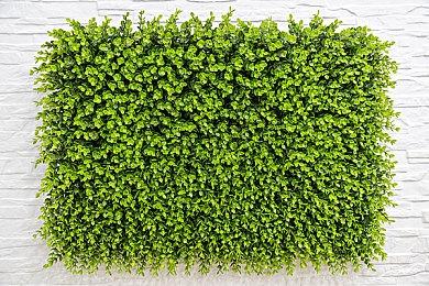 NIS美国发布《神技 盗来》实机演示 游戏10月发售